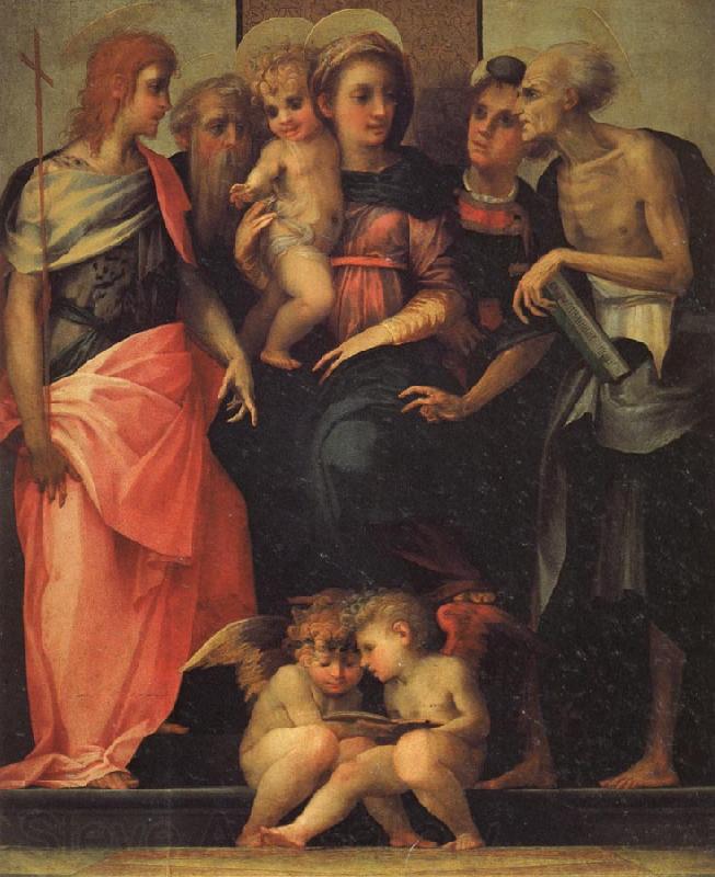 Rosso Fiorentino Madonna Enthroned with SS.John the Baptist,Anthony Abbot,Stephen,and Benedict Norge oil painting art